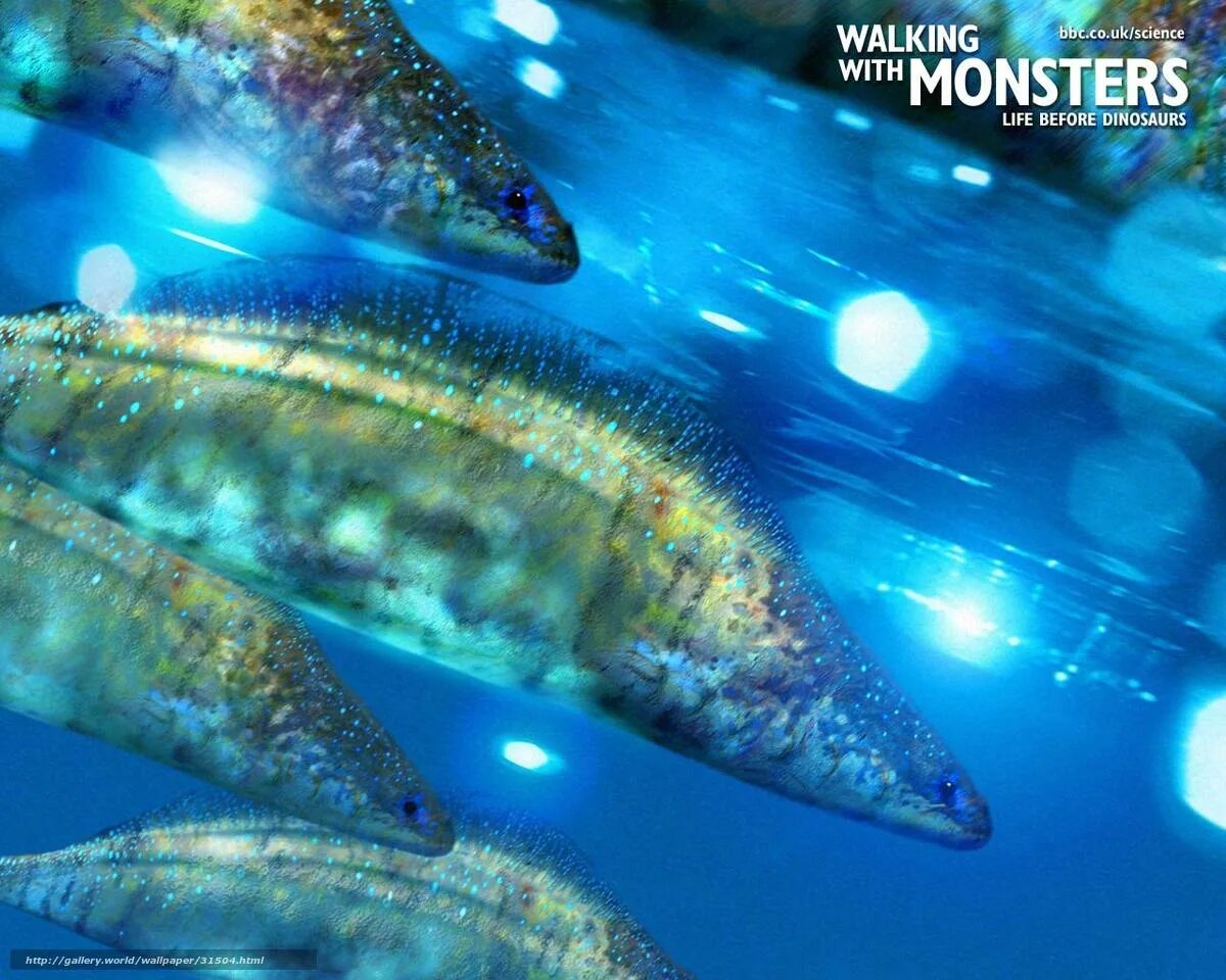 Прогулки с жизнь до динозавров. Haikouichthys ercaicunensis. прогулки с монстрами жизнь до динозавров хайкоуихтис. bbc: прогулки с монстрами. жизнь до динозавров. хайкоуихтис эволюция.
