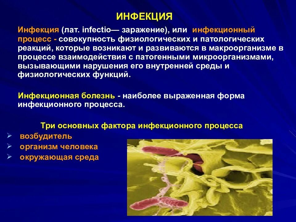 Процессы болезни человека