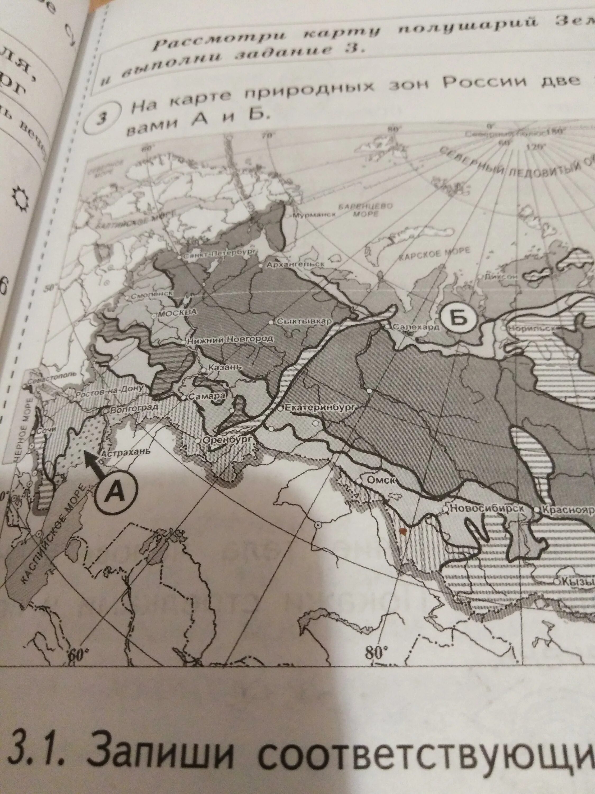 Природные зоны россии впр ответы. Название природной зоны а и б. Запиши название природных зон а и б. Природные зоны России а б название. На карте природных зон России две зоны.