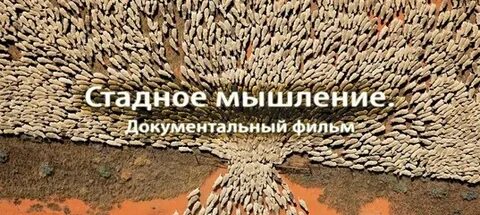 Стадный инстинкт в мирное время