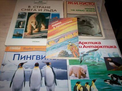 Сеансы в южном полюсе спб