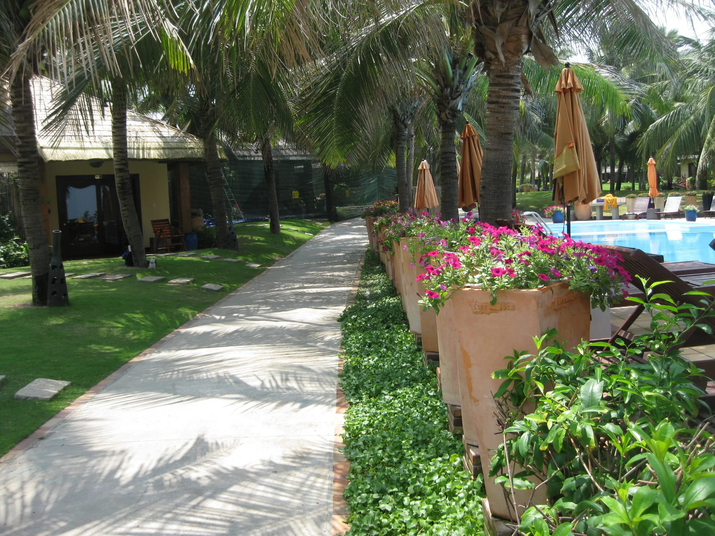 Фото отель терракота. Terracotta resort spa 4 фантьет. Terracotta resort spa 4 фантьет. Terracotta resort spa 4 фантьет. Terracotta resort phan thiet.