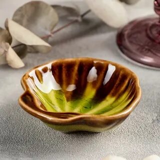 Ракушка 8