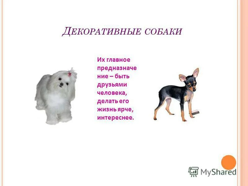 Клички для больших собак