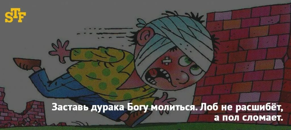 Дурак и лоб. Заставь дурака Богу молиться, он и лоб расшибет.. Заставь дурака Богу молиться он и лоб. Заставь дурака Богу молиться лоб разобьет. Заставь дурака Богу молиться пословица.