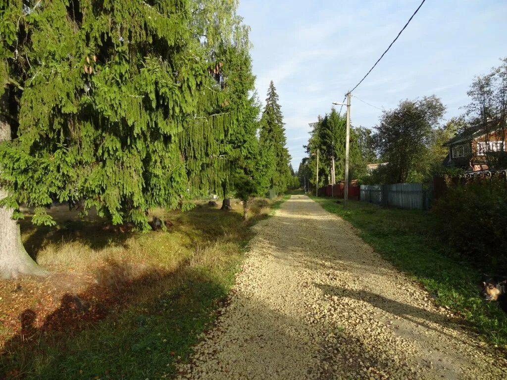 Погода в карташевской на яндексе. Погода в архангельске. Погода в карташевской на яндексе. Погода в самаре. Погода в архангельске.