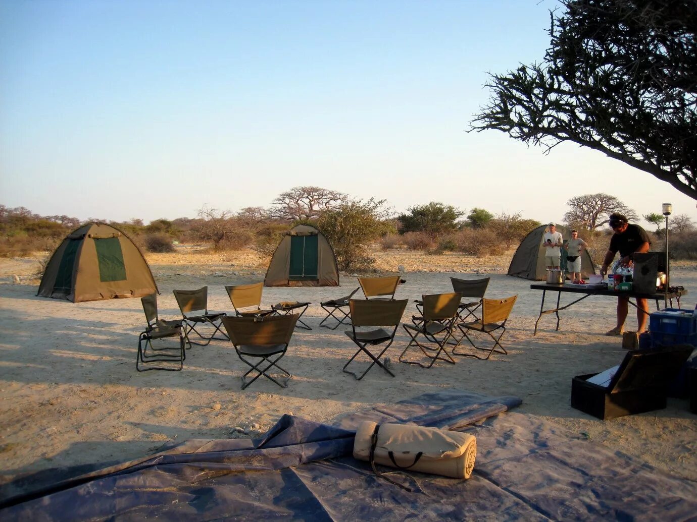 Wild camp. Сафари кемпинг. Кемпинг в Африке. Африка вип кемпинг. Зона кемпинга в Африке.