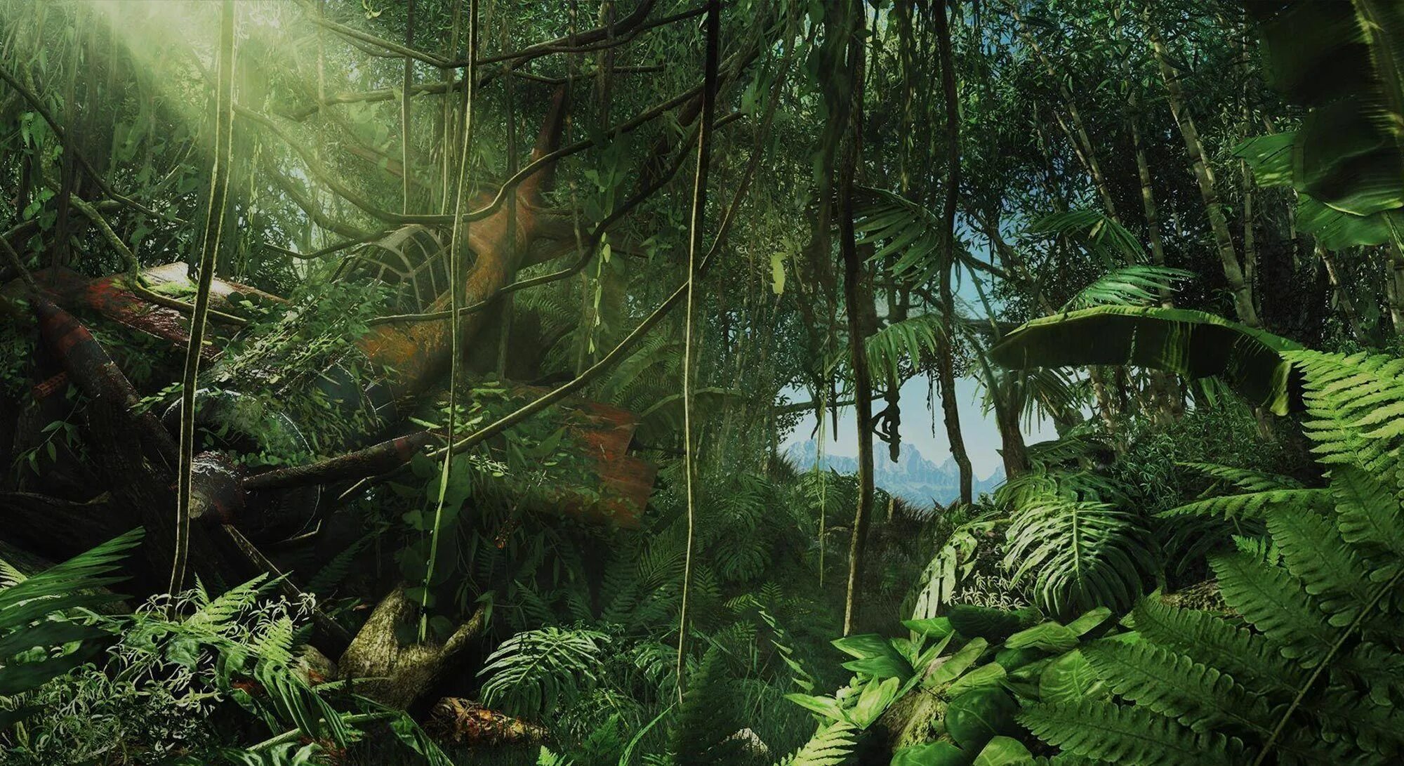 Jungle downloads