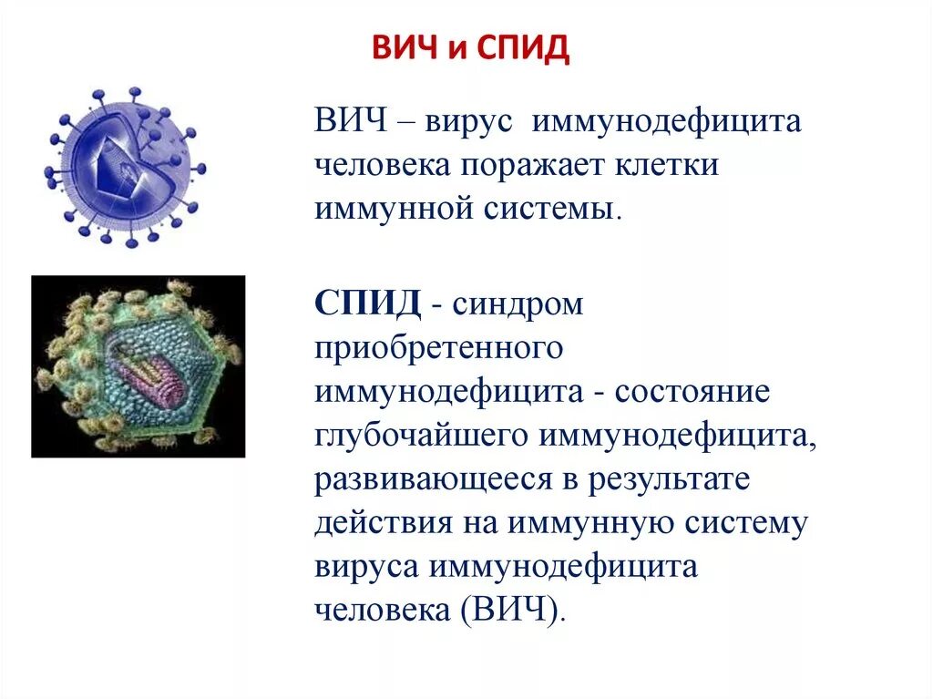 Характеристика вируса ВИЧ. Характеристика вируса ВИЧ инфекции. Вирус иммунодефицита человека (ВИЧ) характеристика. Характеристика вируса иммунодефицита человека (ВИЧ-1 И ВИЧ-2).. Спид биология 8 класс