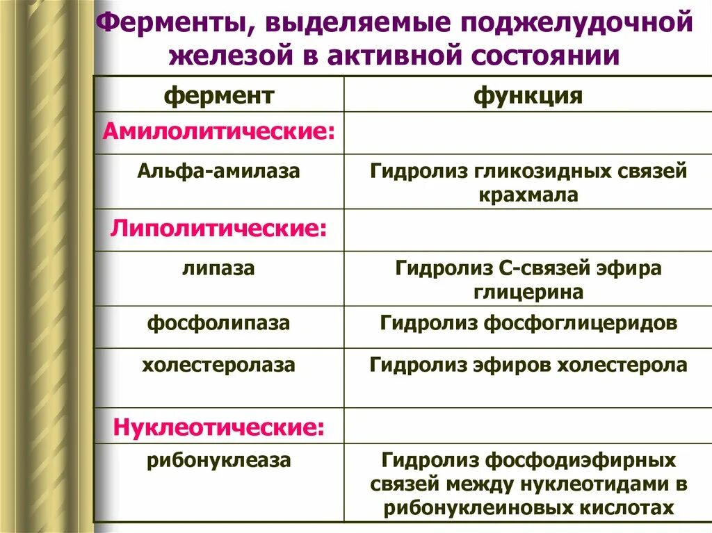 Поджелудочная железа функции ферментов таблица. Ферменты продуцируемые поджелудочной железой. Ферменты поджелудочной железы, вырабатываемые в активной форме;. Функции ферментов поджелудочной железы.