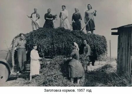 Массовое создание колхозов