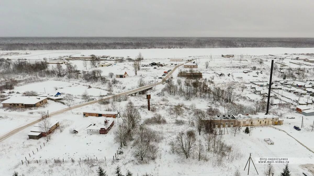 Трегубово новгородская. Деревня трегубово. Деревня трегубово. Трегубово новгородская область. Ленинградская обл.