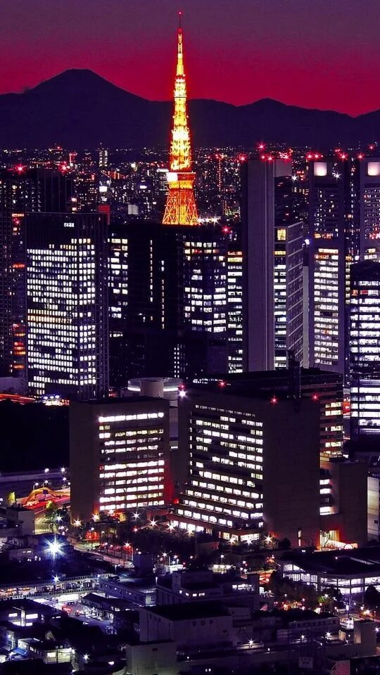 Токио центр города. Префектура токио. Япония мегаполис токио. Japan s cities. Япония токио.