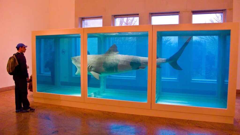 Акула в формальдегиде дэмиен херст. Акула в формальдегиде дэмиен херст. Дэмиен херст акула. Дэмиен херст мертвая акула. Дэмиен херст акула в формалине.