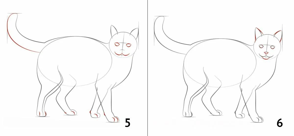 Кот карандашом поэтапно. Этапы рисования кота. рисунок кота карандашом пошагово. поэтапное рисование реалистичной кошки. как нарисовать кошку поэтапно карандашом.