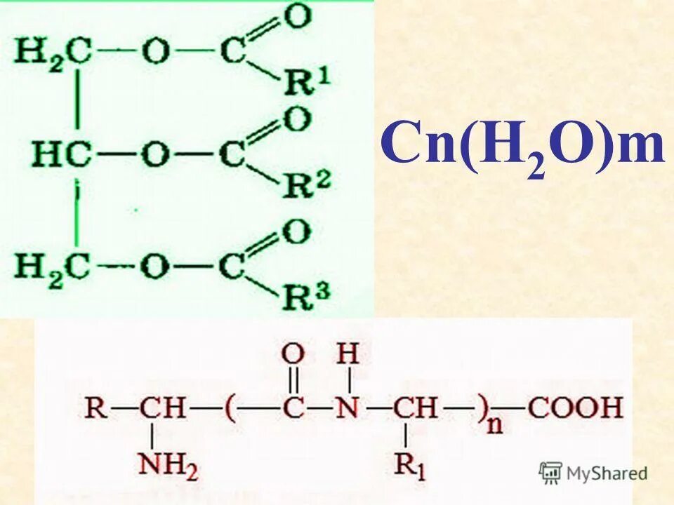 Вещество соответствующее общей формуле cn h2o m. CN h2o m общая формула. CN+h2o. Белки тема урока по химии 10 класс. Презентация урока белки 10 класс химия.