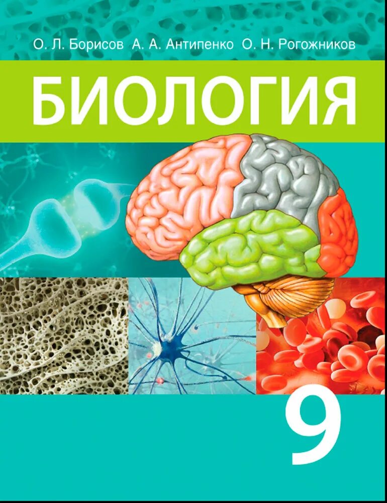 Учебник по биологии. Биология Беларусь 9 класс. Биология 9 класс Борисов. Биология. 9 Класс. Учебник. Учебник по биологии 9 класс.