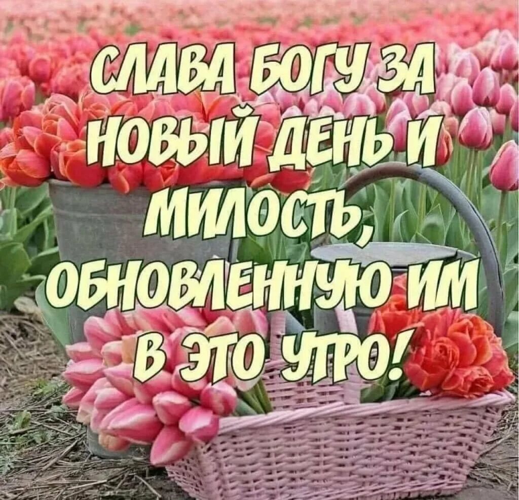 Благословения на каждый день. С добрым утром Божьего благословения. Доброе утро Божьих благословений. Доброе утро благословенного дня. Благословенного дня открытки.