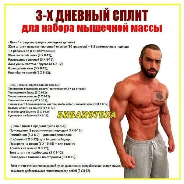 Тренировки для роста мышц что нужно. План тренировок для набора мышечной массы. программа тренировок для набора массы. упражнения для набора мышц. план тренировок для набора мышц.