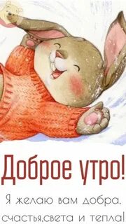 Самое доброе утро 2024 картинки
