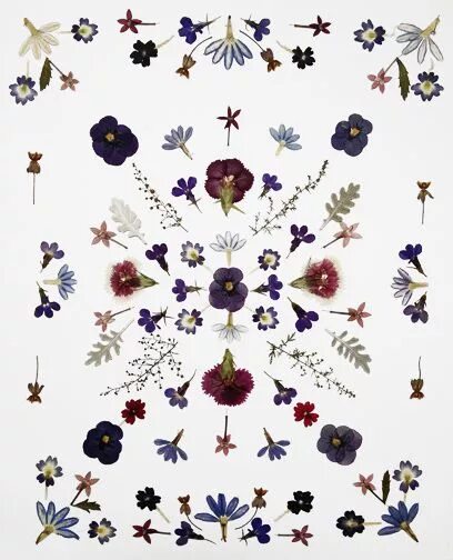 Ода нобуна имагава. We could arrange. Manga eurovision. We could arrange. We could arrange.