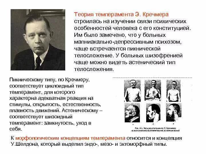Одним из авторов конституциональной теории темперамента является. Теория темперамента э. кречмера. э кречмер теория темпераментов. эрнст кречмер темперамент. конституционная теория э. кречмера.