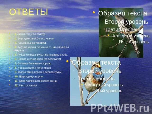 Пословицы всяк свое болото хвалит. Всякий Кулик свое болото хвалит ситуации. Всяк Кулик свое болото. Поговорка всяк Кулик свое болото хвалит. Птицу видно по полету.