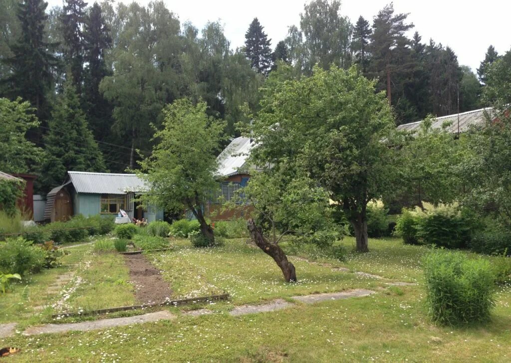 Снт отрадное участок 4 ивантеевка. Дача в ивантеевке трудовая. Снт дружба ивантеевка. Снт отрадное ивантеевка фото. Дача в снт щелковский район.