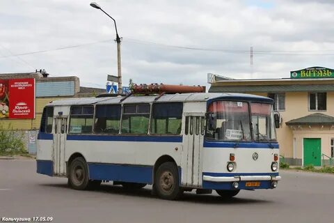 Автобусы кольчугино