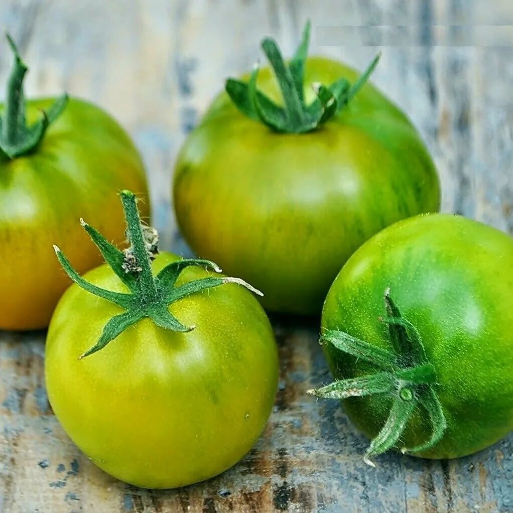 Купить зеленые томаты. Томат лайм сэлэд. Лайм Грин томат. Lime Green Salad томат. Томат Блю Фрут.