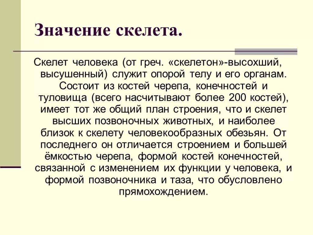 Значение скелета человека. Значение скелета. Значение скелета скелета. Какое значение скелета для человека.