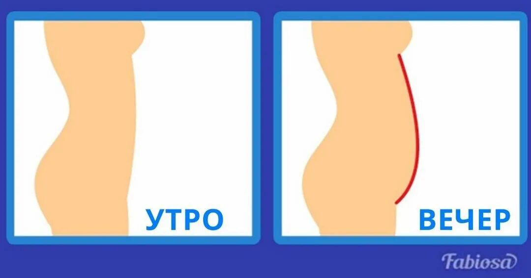 Почему к вечеру появляется. Нормальная форма живота. Формы живота у женщин. Живот при беременности. Типы женских животиков.