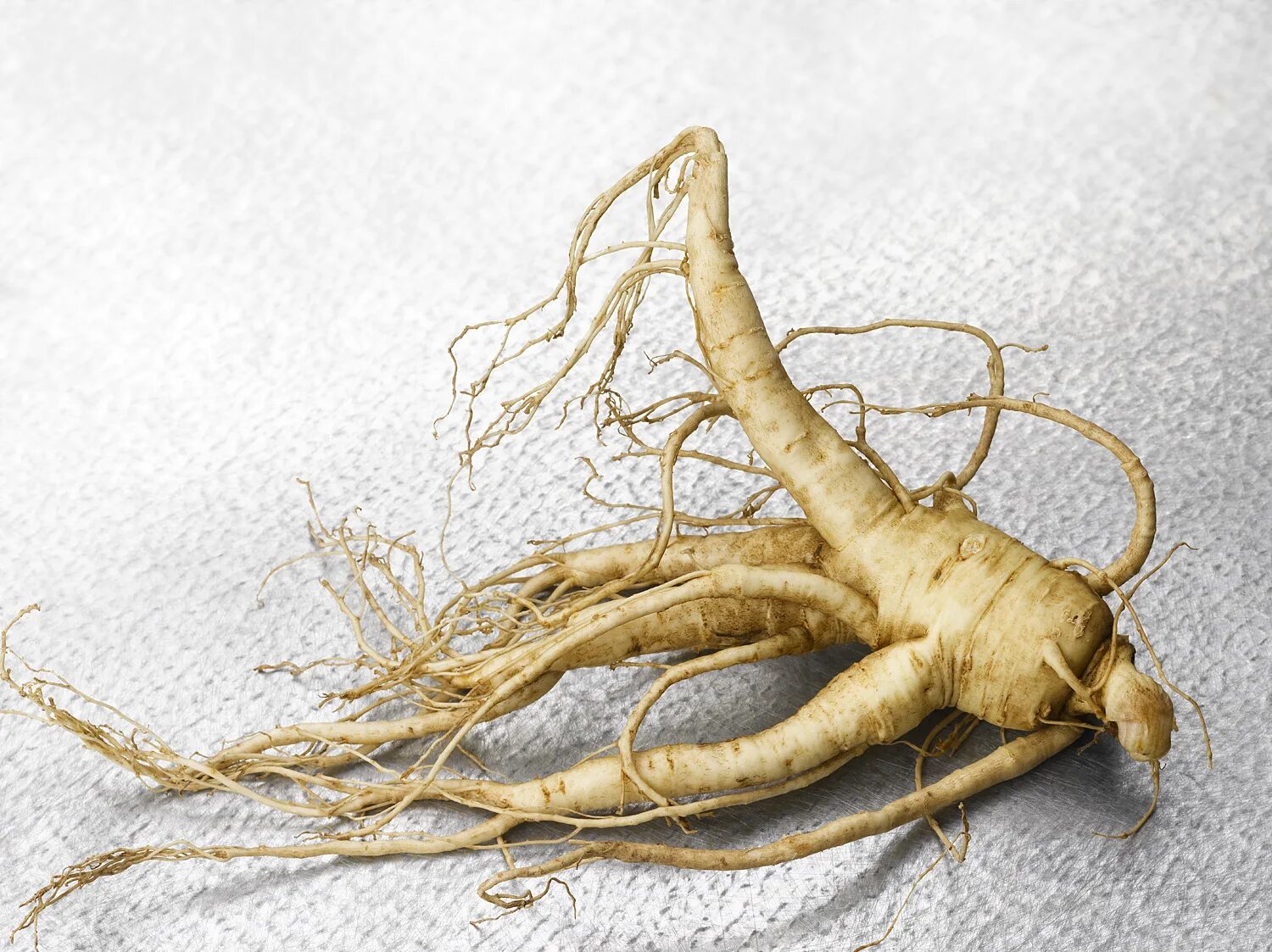 Неприятный корень. Panax Ginseng. Женьшень корневище. Армянский женьшень Лоштак. Етмак корень растения.