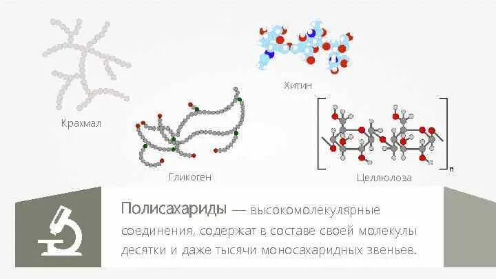 Кислород гликоген. Крахмал целлюлоза гликоген хитин. полисахариды крахмал гликоген целлюлоза. молекулы крахмала гликогена целлюлозы. полисахариды крахмал гликоген хитин.