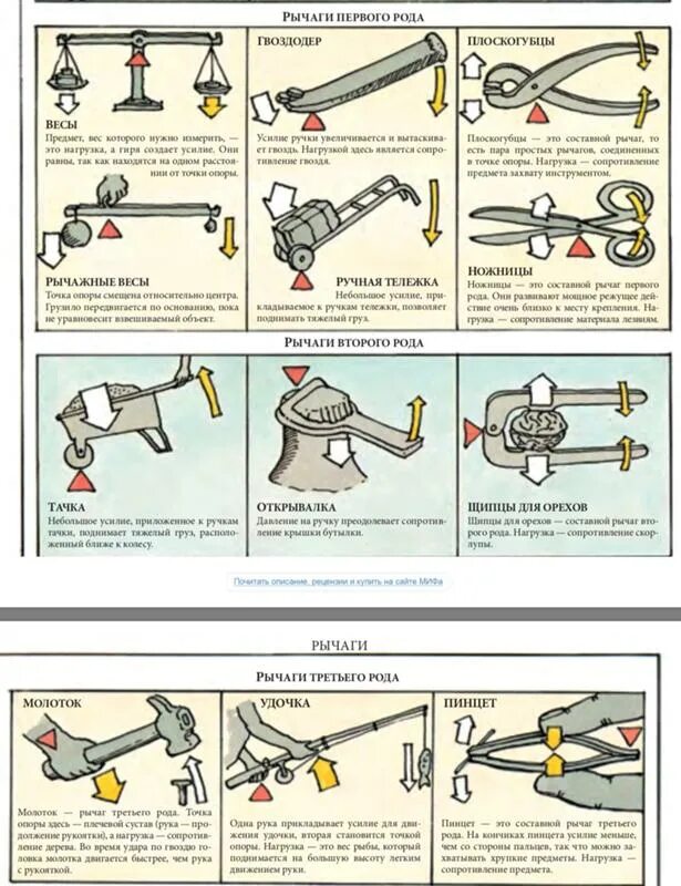 Жердь как рычаг 4. Рычаг 1 типа примеры. Рычаг 3 рода примеры. Рычаг 2 рода примеры. Типы рычагов.