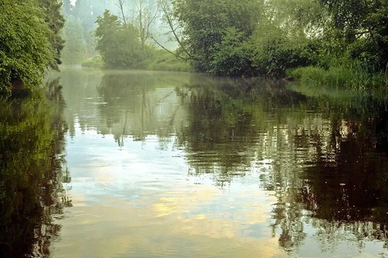 Дождь на реке. Летний дождь на реке. Река после дождя. Дождь река лето.