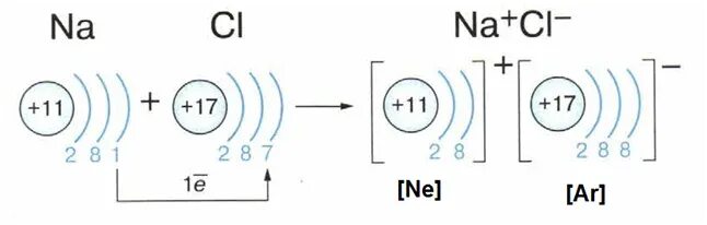 Изобразите строение атомов натрия. Электронная схема Иона натрия. Строение электронной оболочки хлора. Схема строения Иона натрия. Строение электронных оболочек ионов.