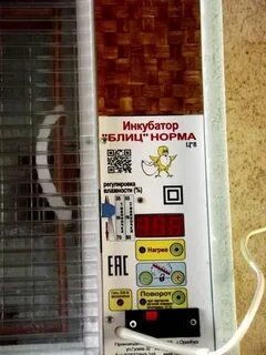 Таблица инкубатора блиц норма