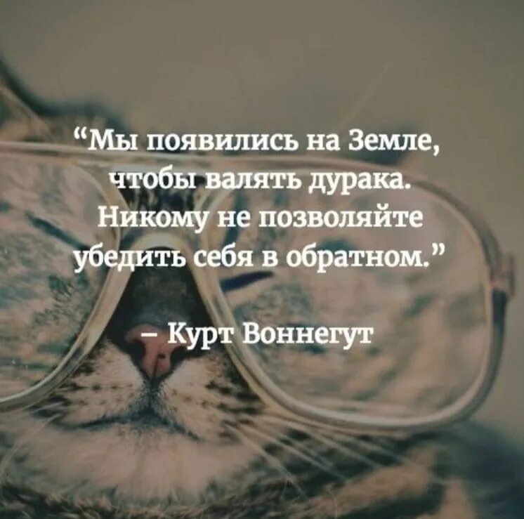 Почему ж никто не радуется. Мы появились на земле чтобы валять дурака. Мы появились на земле чтобы радоваться никому не позволяйте убедить.