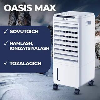 Max oasis x