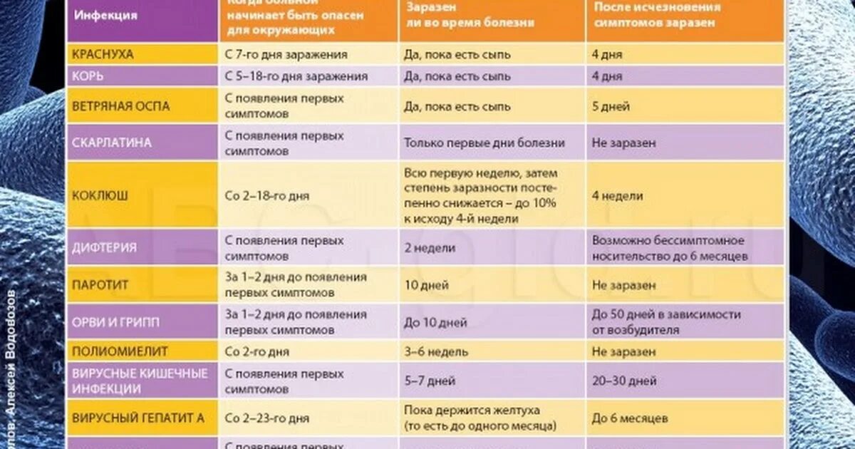 Сколько заразные после коронавируса. Период заразности ОРВИ. Период заразности гриппа ОРВИ. Сроки заразности при ОРВИ. Заразность ОРВИ по дням.