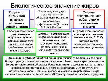 Сообщение биологическая роль жиров