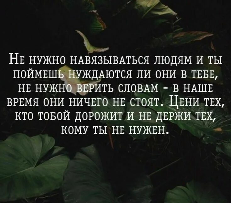 Оставайтесь такими же мудрыми. Цитаты про нужных людей. Бывает цитаты. Высказывания о понимании. Если человек нужен цитаты.