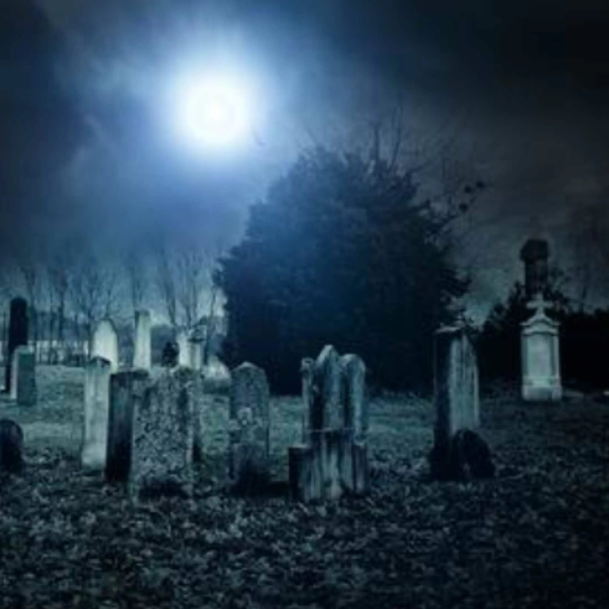 Graveyard мотылек