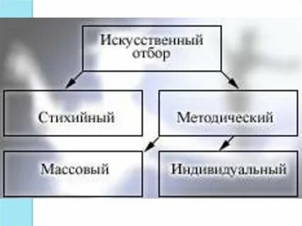 Методический отбор