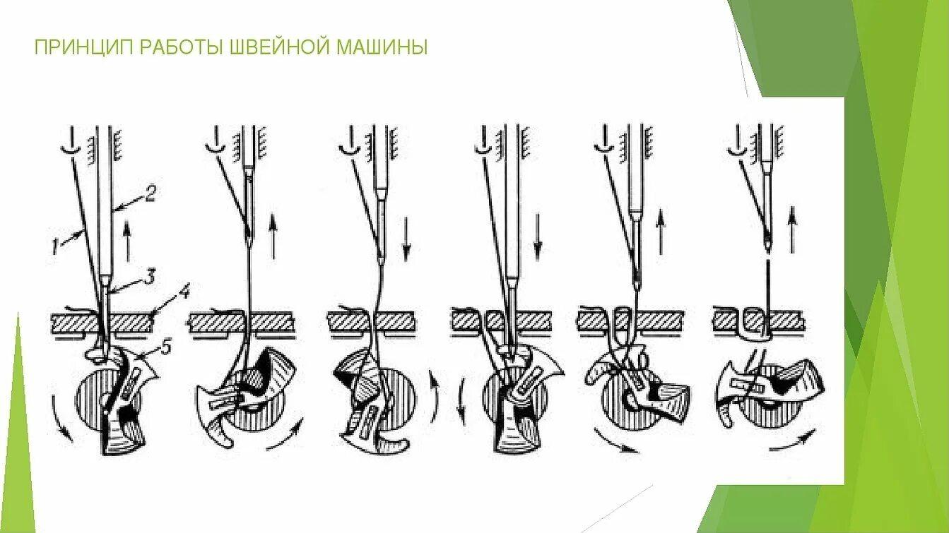 Настройка челнока швейной. Схема образования челночного стежка. Принцип работы челнока швейной машинки. Петлитель машины однониточного цепного стежка. Принцип работы иголки на швейной машинке.