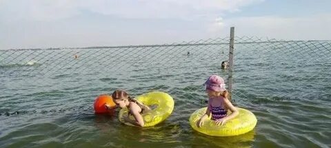 Температура волги энгельс