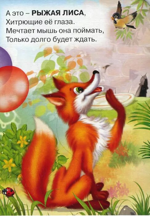 Лиса лапотница раскраска. Лиса для детей на прозрачном фоне. Музыка выход лисы для детей. Охота на лисицу ноты для фортепиано. Хитрая лиса песня.