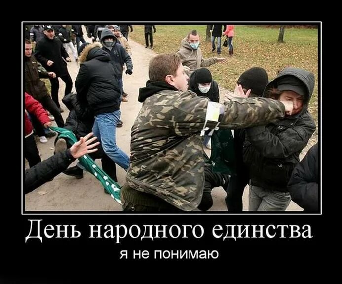 Народное единство картинки прикольные. День народного единства прикол. День народного единства демотиватор. День народного единства юмо. Народное единство демотиватор.