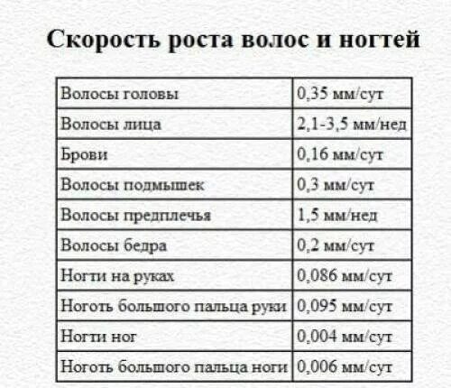 Скорость роста волос на голове